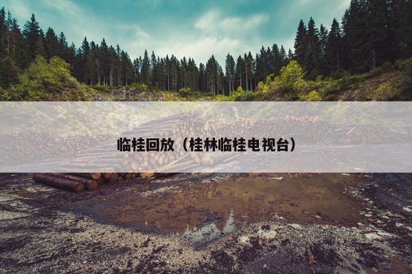 临桂回放（桂林临桂电视台）