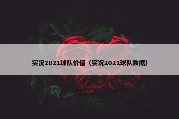 实况2021球队价值（实况2021球队数据）