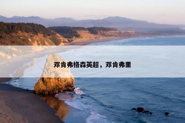 邓肯弗格森英超，邓肯弗里