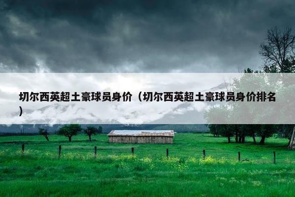 切尔西英超土豪球员身价（切尔西英超土豪球员身价排名）