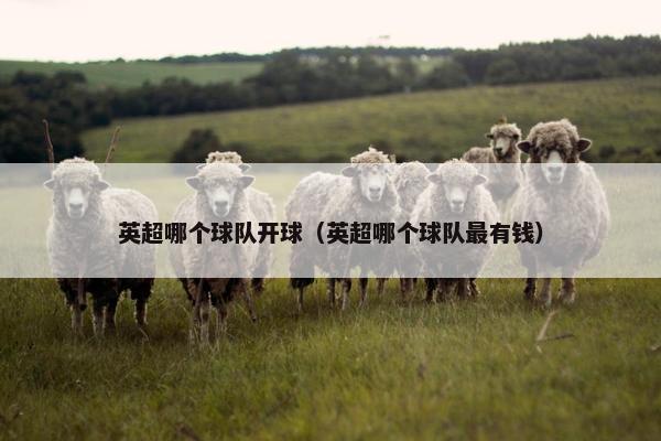 英超哪个球队开球（英超哪个球队最有钱）