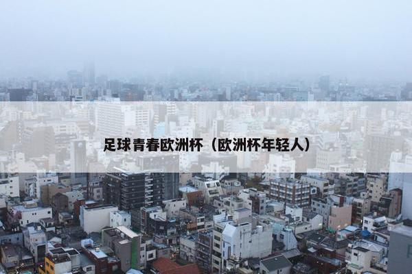 足球青春欧洲杯（欧洲杯年轻人）