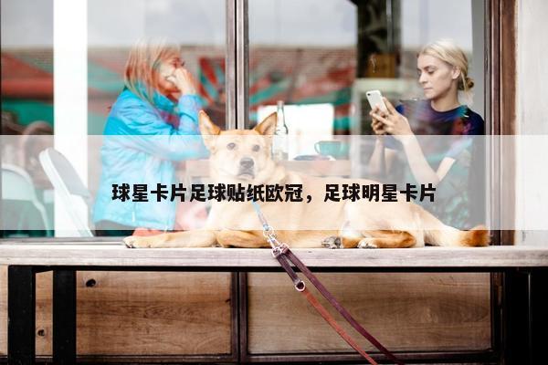 球星卡片足球贴纸欧冠，足球明星卡片
