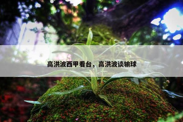 高洪波西甲看台，高洪波谈输球