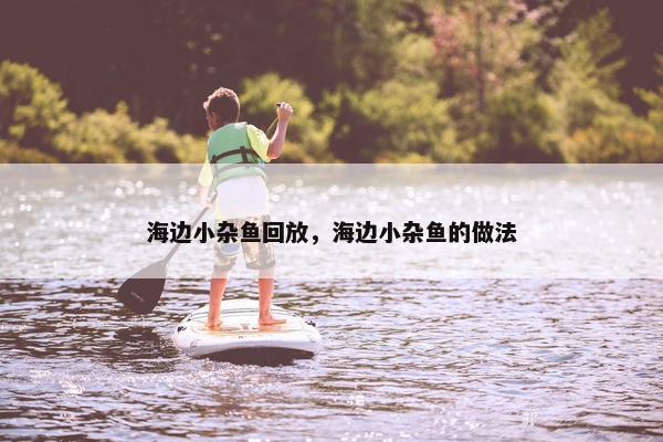 海边小杂鱼回放，海边小杂鱼的做法