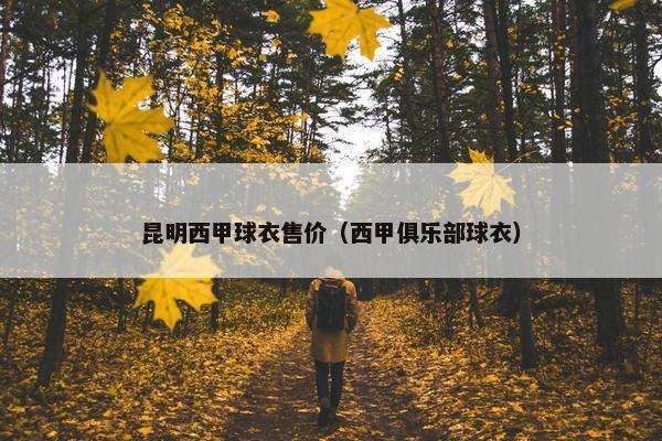 昆明西甲球衣售价（西甲俱乐部球衣）