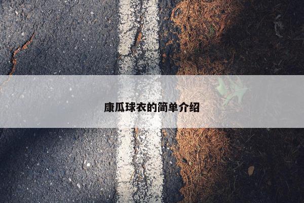 康瓜球衣的简单介绍