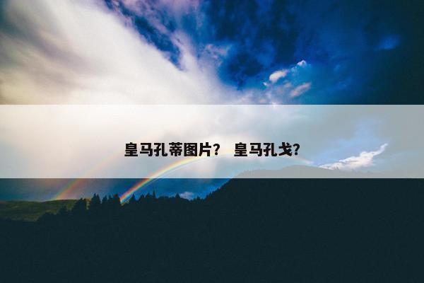皇马孔蒂图片？ 皇马孔戈？
