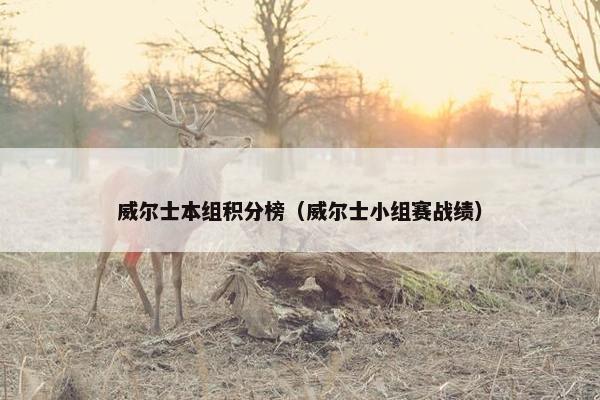威尔士本组积分榜（威尔士小组赛战绩）