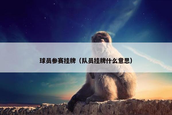 球员参赛挂牌（队员挂牌什么意思）