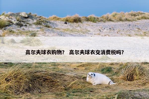 高尔夫球衣购物？ 高尔夫球衣交消费税吗？