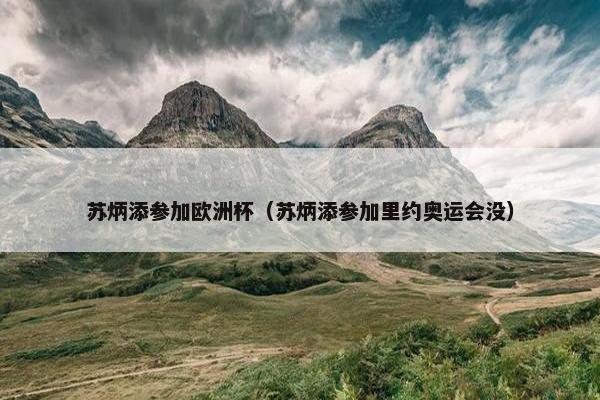 苏炳添参加欧洲杯（苏炳添参加里约奥运会没）