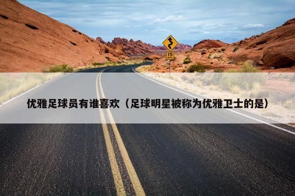 优雅足球员有谁喜欢（足球明星被称为优雅卫士的是）