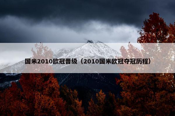 国米2010欧冠晋级（2010国米欧冠夺冠历程）