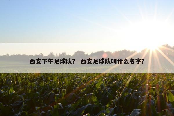 西安下午足球队？ 西安足球队叫什么名字？