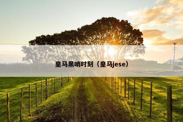 皇马黑哨时刻（皇马jese）