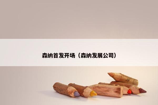 森纳首发开场（森纳发展公司）