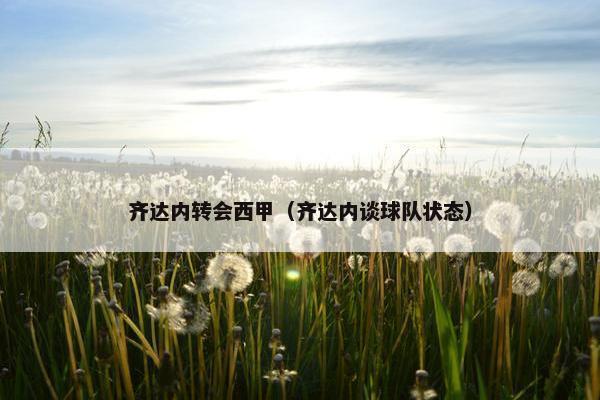 齐达内转会西甲（齐达内谈球队状态）