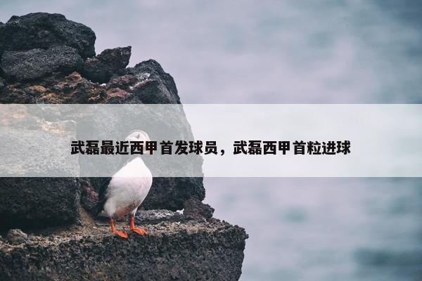 武磊最近西甲首发球员，武磊西甲首粒进球