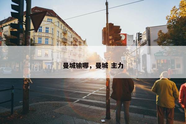 曼城输哪，曼城 主力