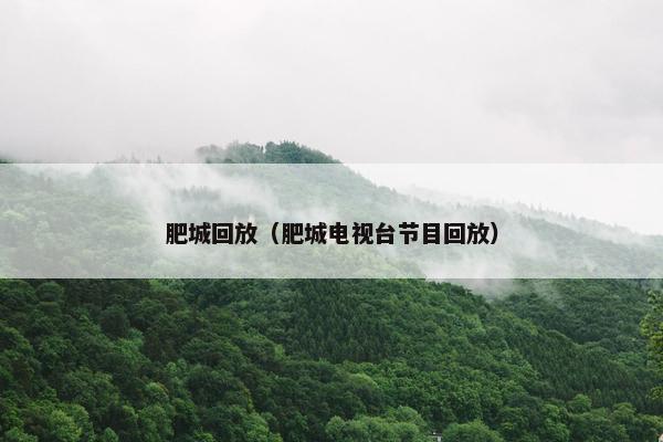 肥城回放（肥城电视台节目回放）