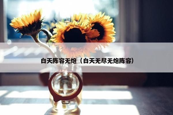 白天阵容无炮（白天无尽无炮阵容）