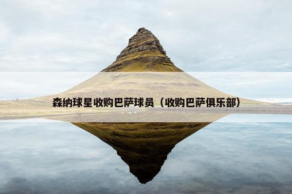 森纳球星收购巴萨球员（收购巴萨俱乐部）