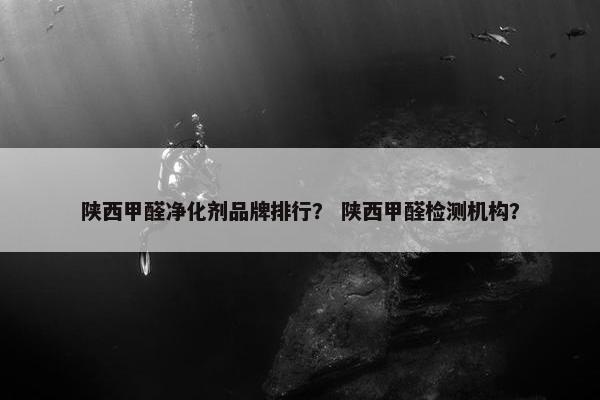 陕西甲醛净化剂品牌排行？ 陕西甲醛检测机构？
