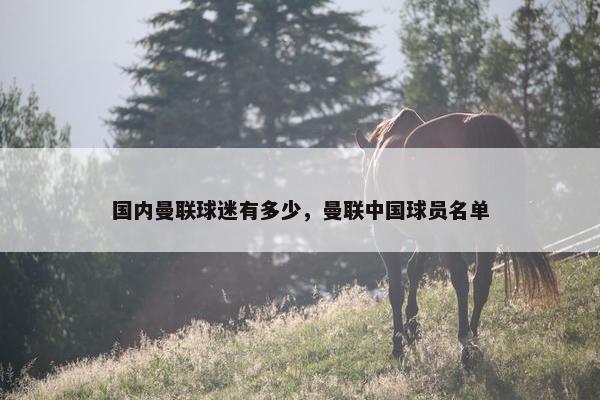 国内曼联球迷有多少，曼联中国球员名单