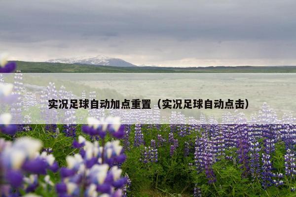 实况足球自动加点重置（实况足球自动点击）