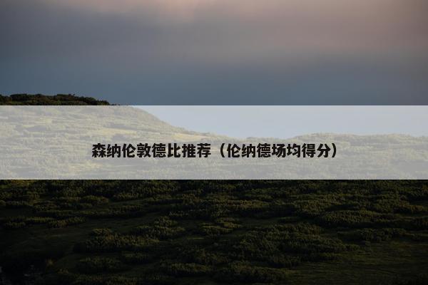 森纳伦敦德比推荐（伦纳德场均得分）