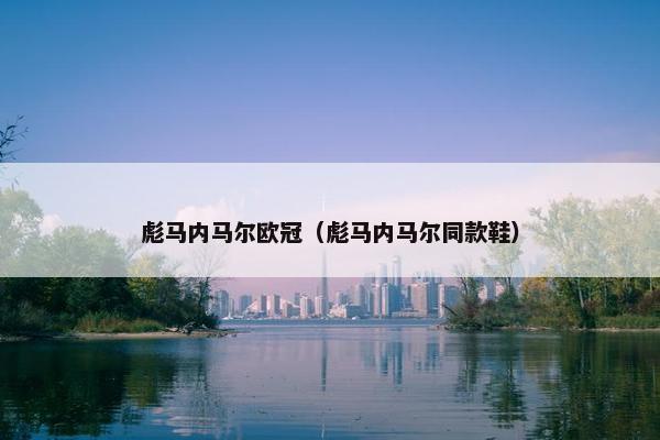 彪马内马尔欧冠（彪马内马尔同款鞋）
