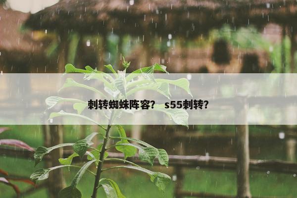 刺转蜘蛛阵容？ s55刺转？