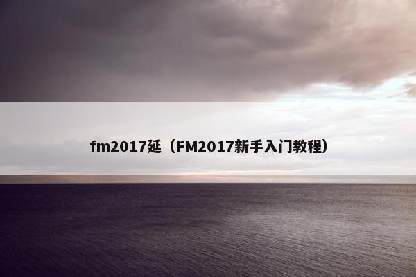 fm2017延（FM2017新手入门教程）