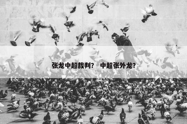 张龙中超裁判? 中超张外龙? 张龙中超裁判? 中超张外龙?