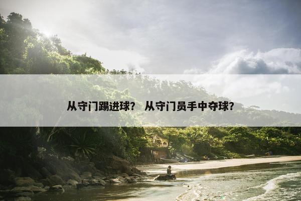 从守门踢进球？ 从守门员手中夺球？