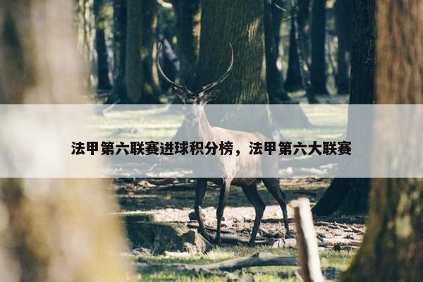 法甲第六联赛进球积分榜，法甲第六大联赛