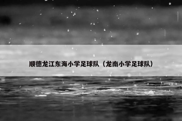 顺德龙江东海小学足球队（龙南小学足球队）