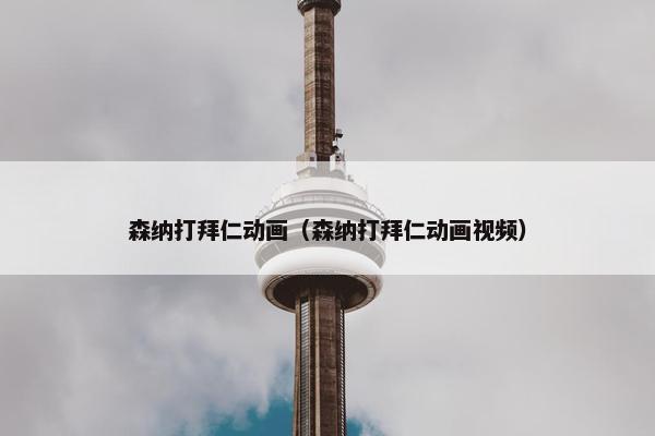 森纳打拜仁动画（森纳打拜仁动画视频）