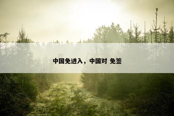中国免进入，中国对 免签