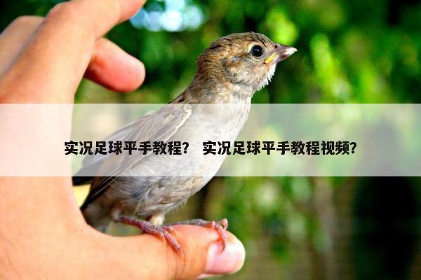 实况足球平手教程？ 实况足球平手教程视频？