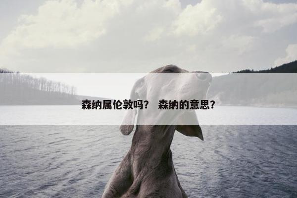 森纳属伦敦吗？ 森纳的意思？