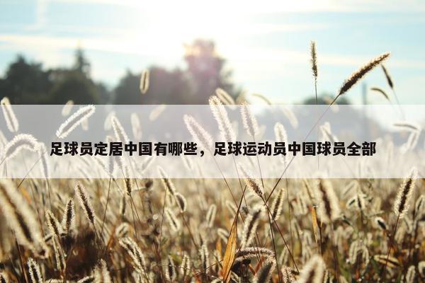 足球员定居中国有哪些，足球运动员中国球员全部