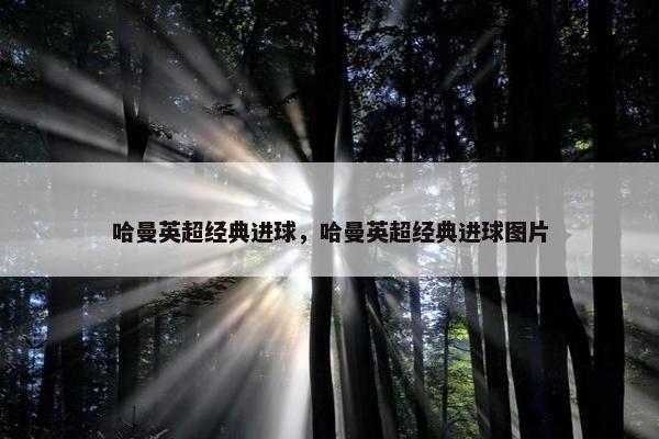 哈曼英超经典进球，哈曼英超经典进球图片