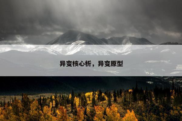 异变核心析，异变原型