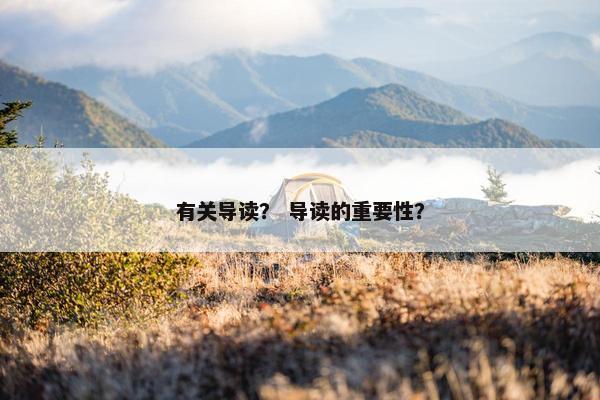 有关导读？ 导读的重要性？