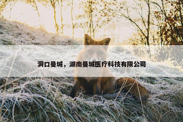 洞口曼城，湖南曼城医疗科技有限公司