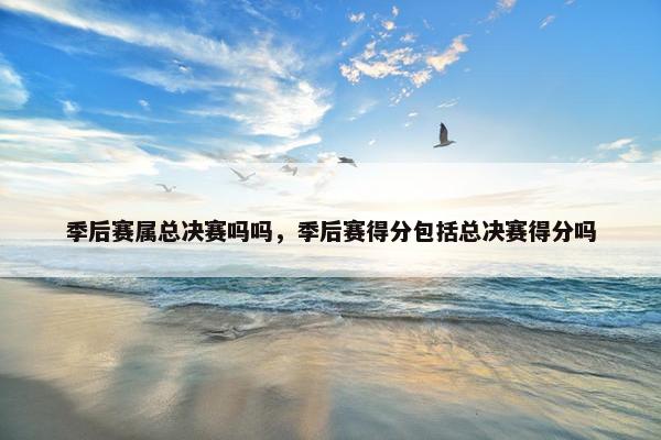 季后赛属总决赛吗吗，季后赛得分包括总决赛得分吗