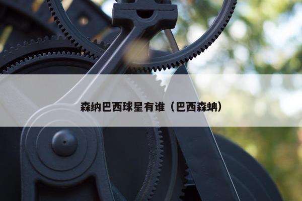 森纳巴西球星有谁（巴西森蚺）