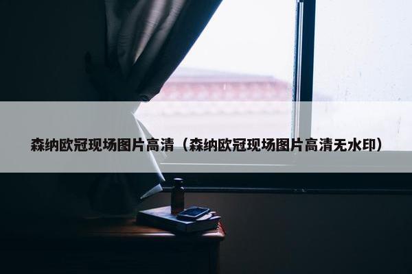 森纳欧冠现场图片高清（森纳欧冠现场图片高清无水印）